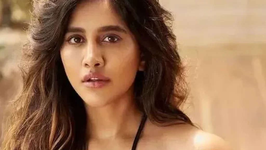 Nabha Natesh Age