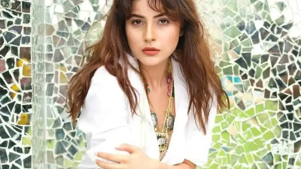 Shehnaaz Gill Age