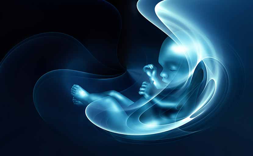 Can NIPT Test Detect Neural Tube Defects