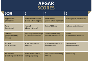 What is the Normal APGAR Score Recommended by Physicians