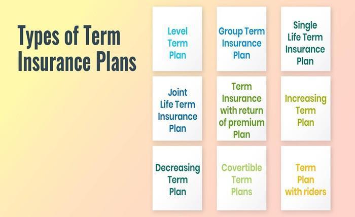 How to Compare Term Insurance Plans Effectively