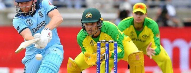 Cricket