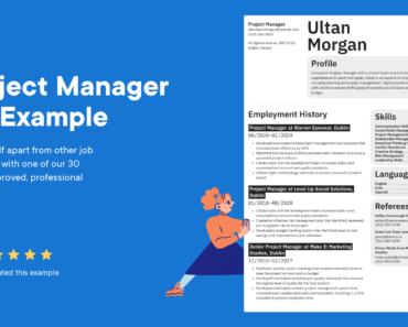 project manager cv examples